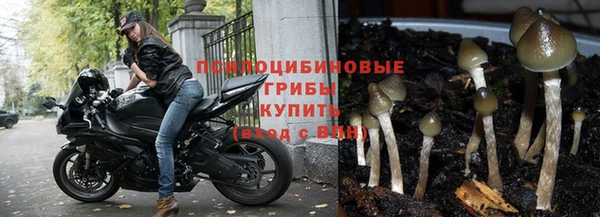 молекула духа Алзамай