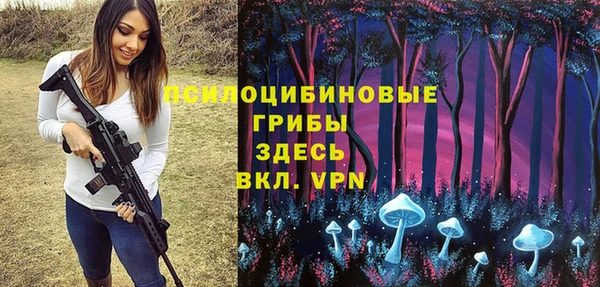 прущие крисы Алексин