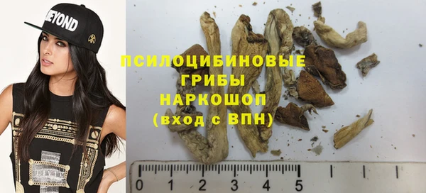 прущие крисы Алексин