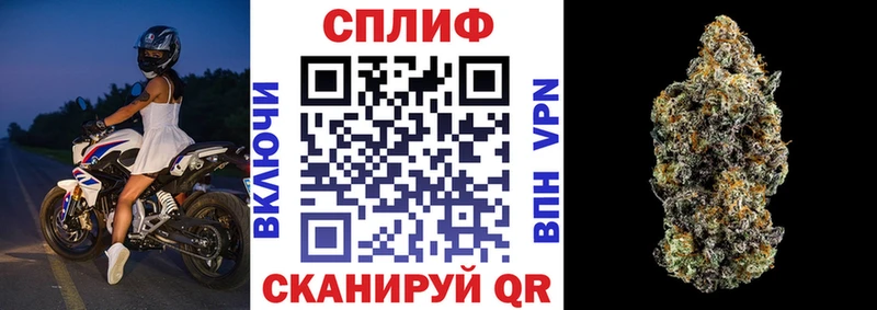 Канабис сатива Заринск